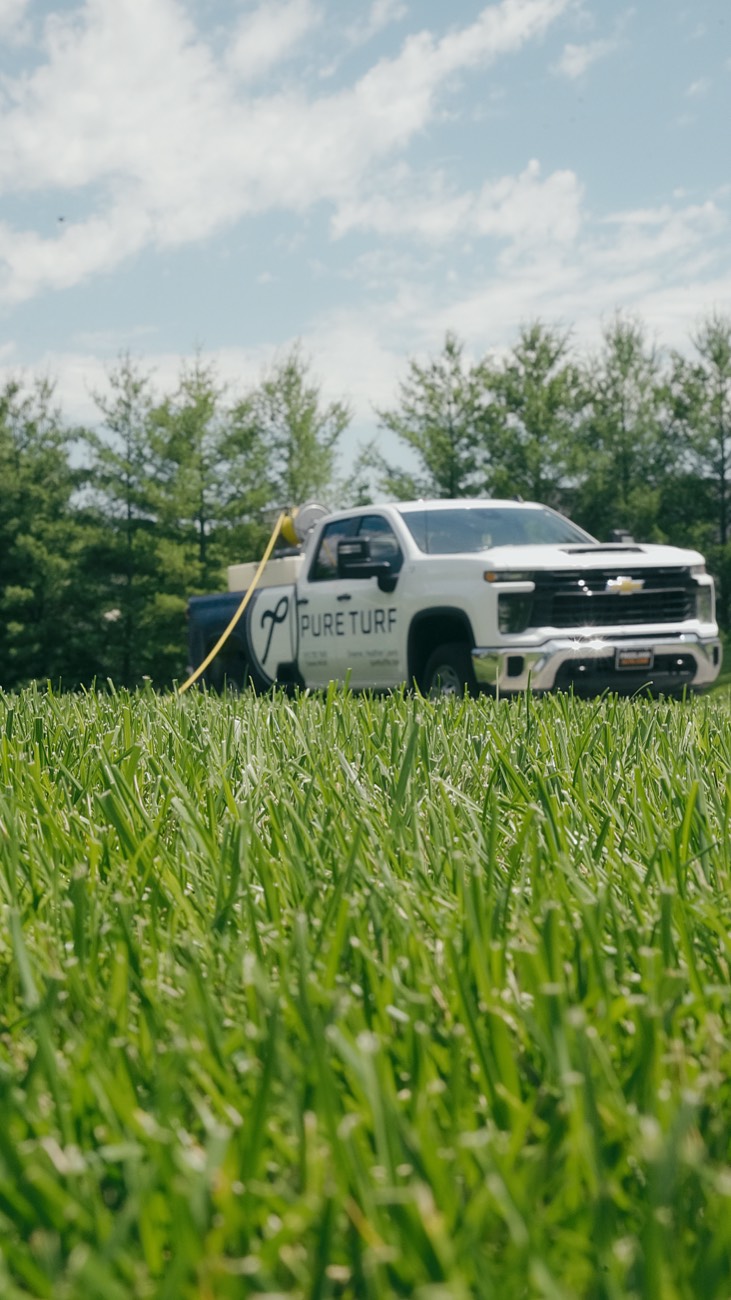 A Pure Turf lawn in Montgomery County