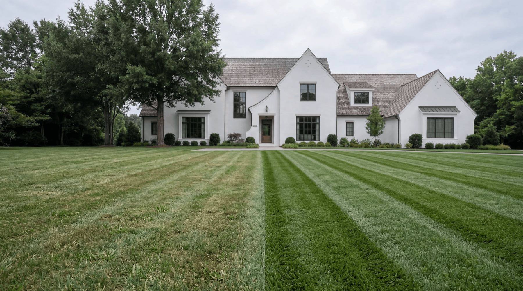 Beautiful lawn