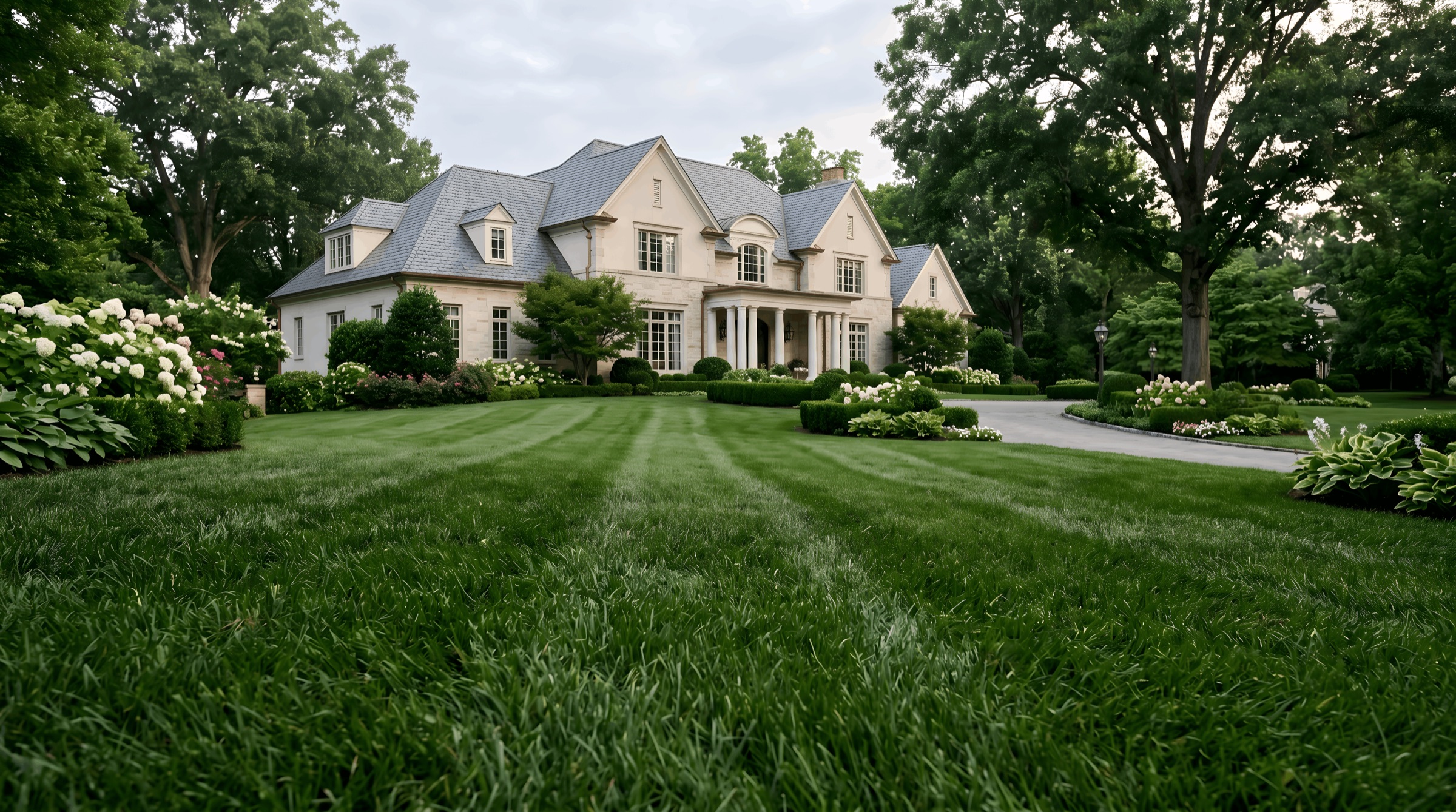 A Pure Turf lawn in Forest Hills, Tennessee