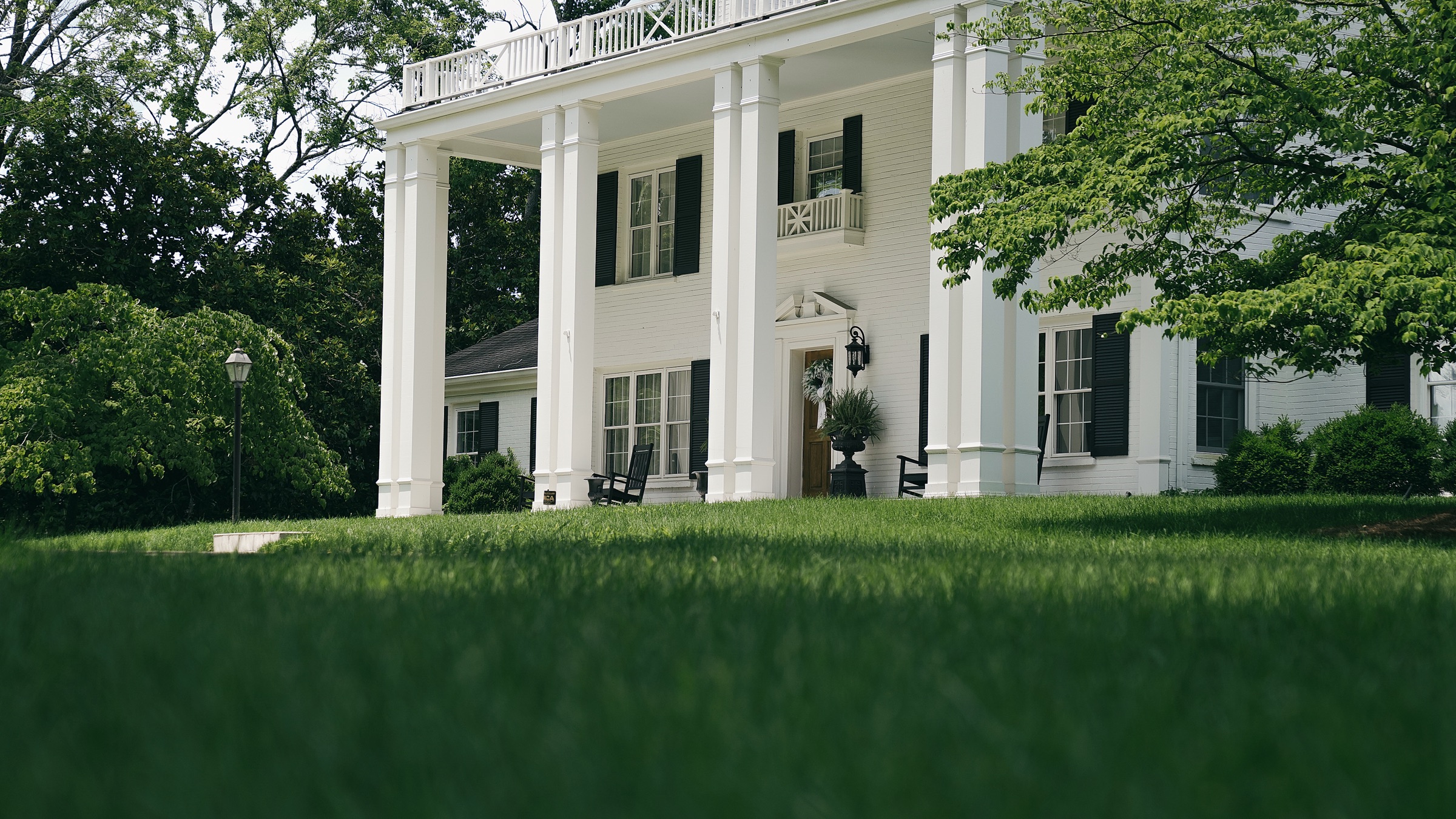 A Pure Turf lawn in Berry Hill, Tennessee